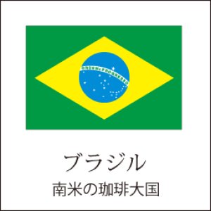 画像: ブラジルサントス